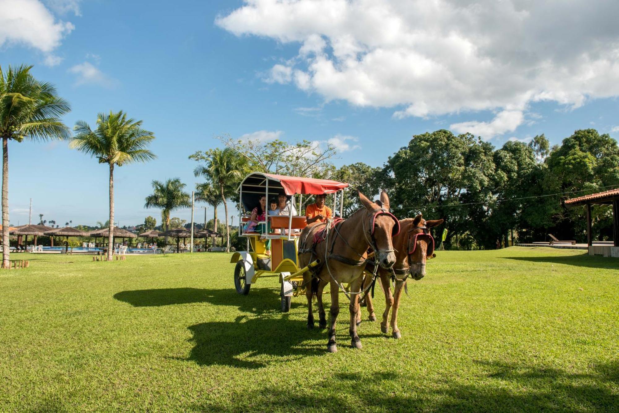 Hotel Fazenda Mirage Feira de Santana Dış mekan fotoğraf